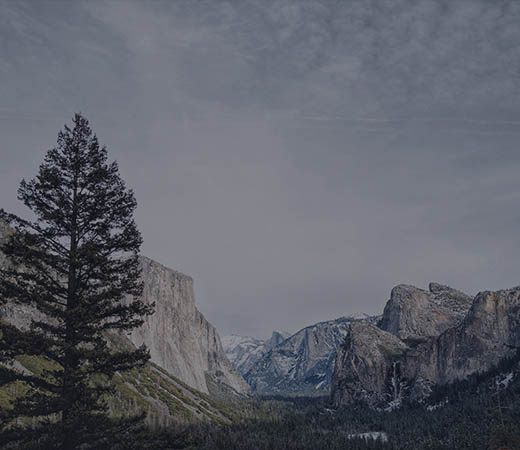 blog-image-1