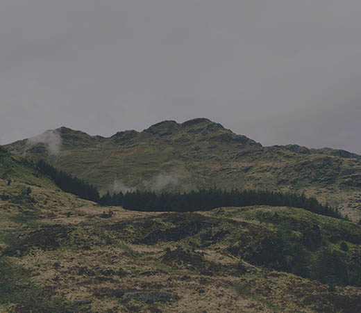 blog-image-6